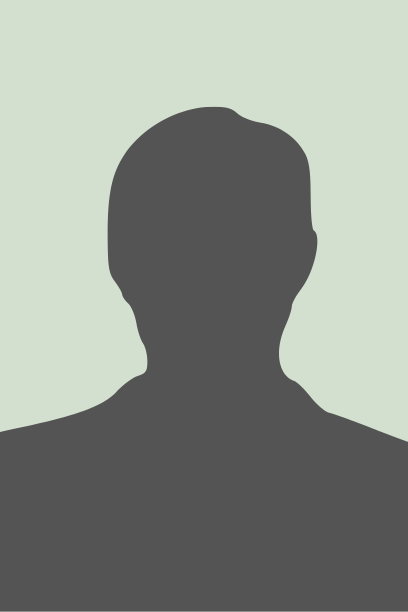 Silhouette on a green background